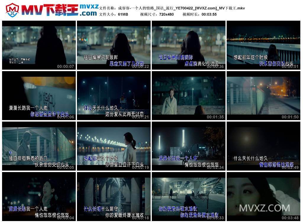 成容容-一个人的情路_国语_流行_YE700422